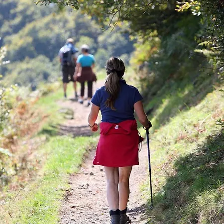 Appartement Vacation Rental City 11 In Massagno Lugano